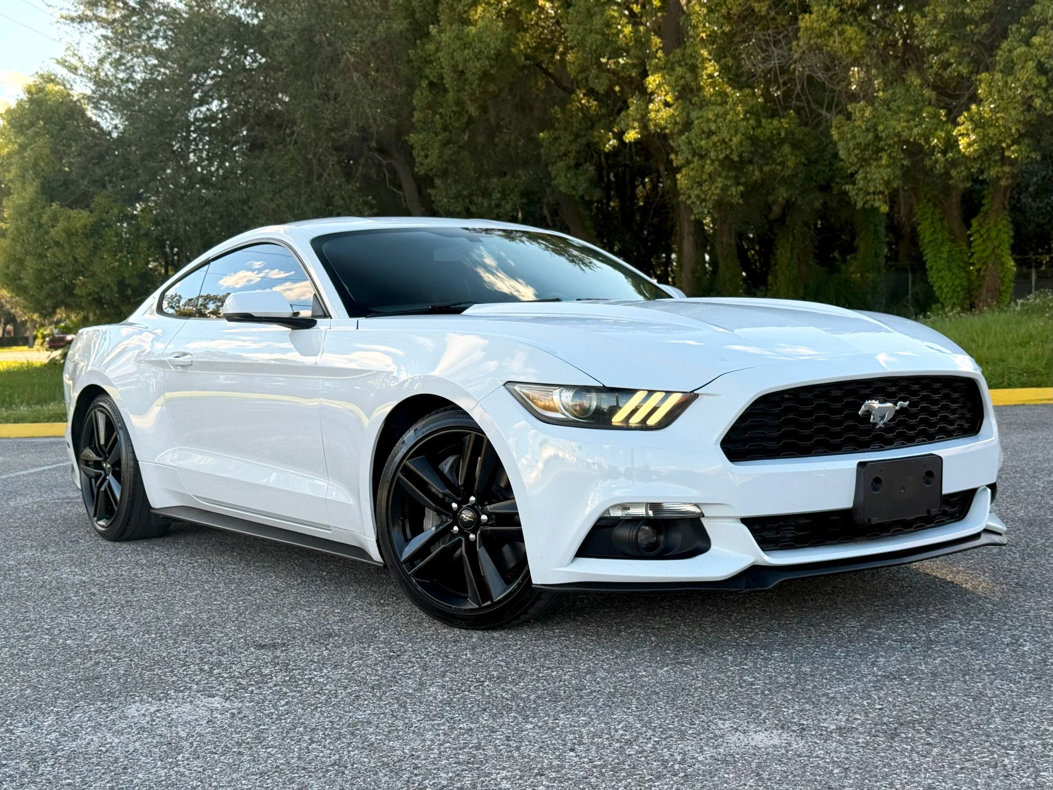 2015 Ford Mustang EcoBoost's photo