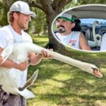 Tips for Transporting Pets Safely and Handling Unexpected Car Troubles