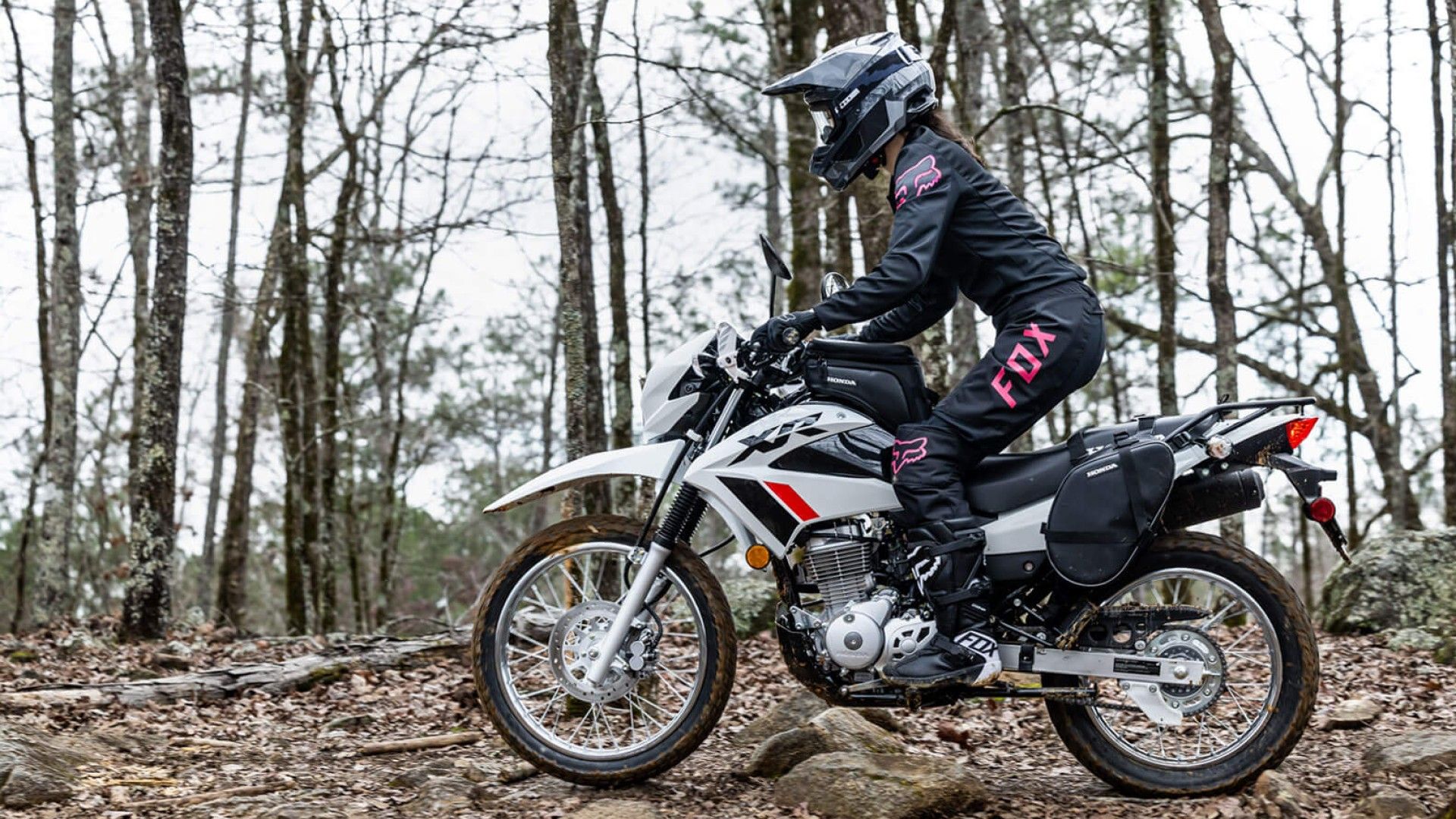 Simple and Reliable Motorcycles Perfect for Easy Maintenance